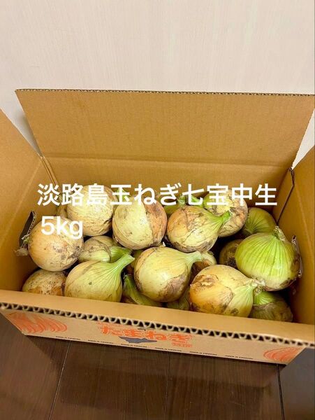 淡路島産玉ねぎ七宝中生5Kg農家直送