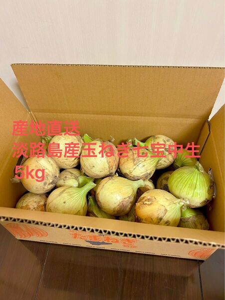 淡路島産新玉ねぎ七宝中生5Kg農家直送
