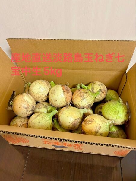 淡路島産新玉ねぎ七宝中生5Kg農家直送