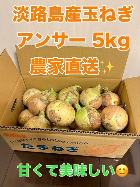 淡路島産熟成新玉ねぎアンサー中生5kg 農家直送