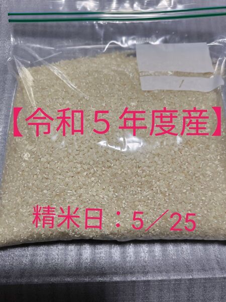 【令和5年産】お米 2kg 白米 ライス 千葉県産コシヒカリ 精米日令和7年5月25日 安心発送 手渡し ゆうパケットプラス