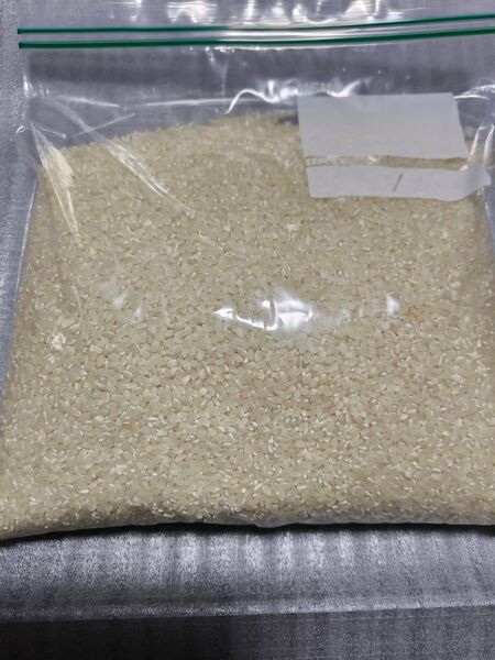 【令和5年産】お米 2kg 白米 ライス 千葉県産コシヒカリ 精米日令和7年5月25日 安心発送 手渡し ゆうパケットプラス