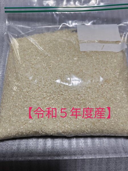 【令和5年産】お米 2kg 白米 ライス 千葉県産コシヒカリ 精米日令和7年5月25日 安心発送 手渡し ゆうパケットプラス
