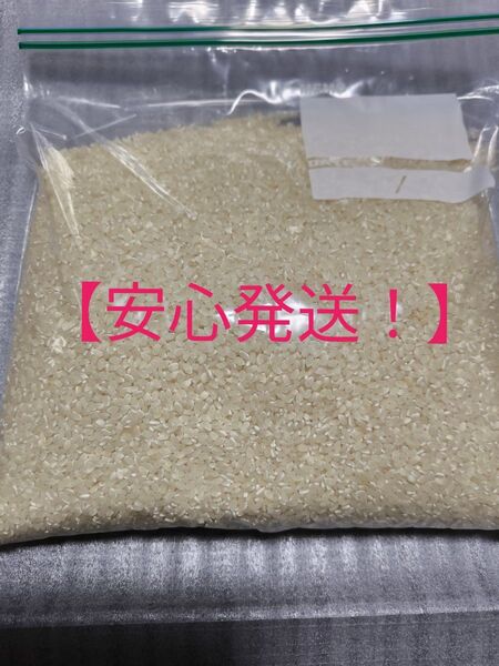 【令和5年産】お米 2kg 白米 ライス 千葉県産コシヒカリ 精米日令和7年5月25日 安心発送 手渡し ゆうパケットプラス