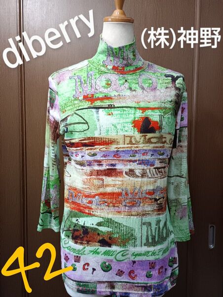 diberry (株)神野 シースルー系 カットソー 42サイズ