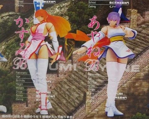 海洋堂 デッド・オア・アライブ KTフィギュアコレクションDX かすみ あやね DEADORALIVE doaxvv 可動山口式