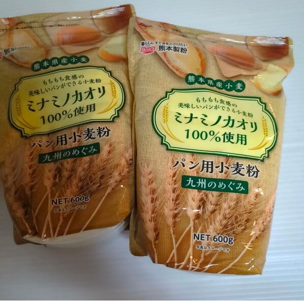 熊本製粉 熊本県産小麦 パン用粉 九州のめぐみ 600g