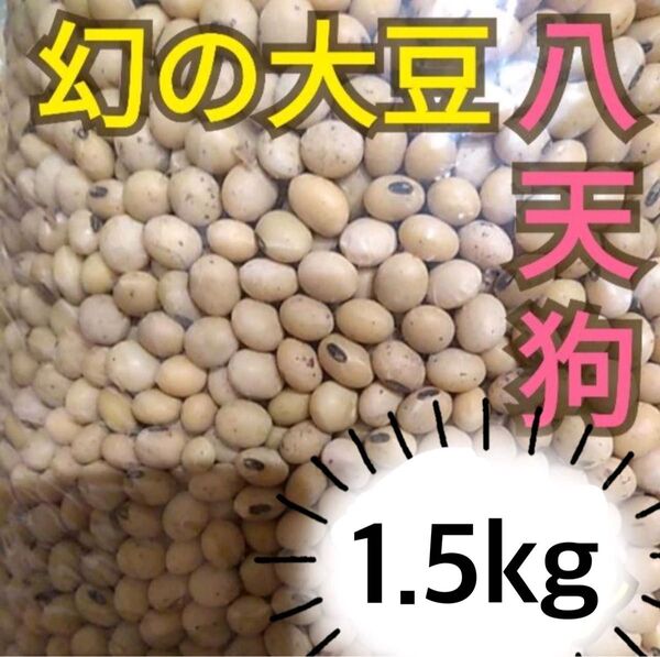 自然栽培 幻の大豆『八天狗』1.5kg 熊本県産