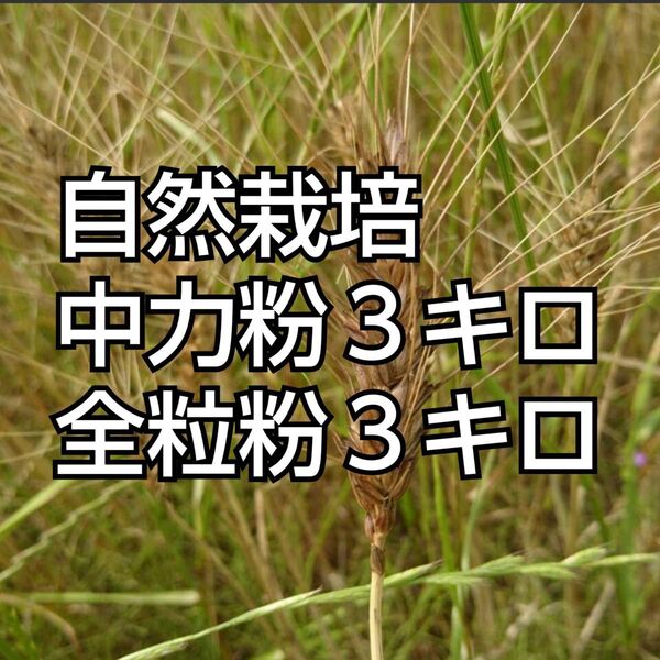 自然栽培 水車挽き中力粉 3kg +全粒粉3キロ 熊本県産