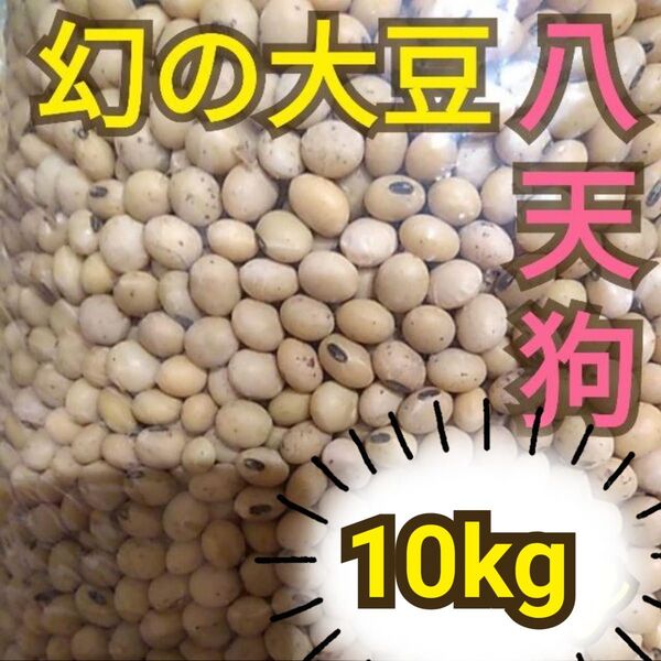 自然栽培 幻の大豆『八天狗』10kg 熊本県産