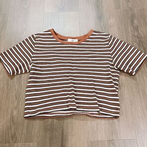 WEGO Mサイズ ストライプ 半袖Tシャツ カットソー