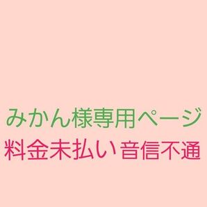 みかん様専用ページ 音信不通となり料金未払い