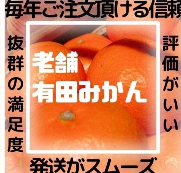 ご家庭用 農家直送 果物サイズおまかせ箱込み2kg 柑橘 オレンジ見栄え悪いです 農家の我が家の食べ用おすそわけ