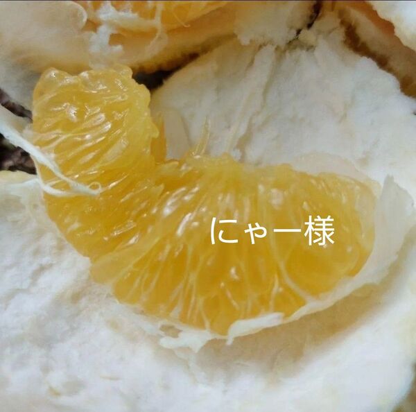 8kg (甘夏5kg+在庫柑橘1kg+レモン1kg+梅1kg合計8kg5,800円)我が家の甘夏みかん、レモン、梅等々リサイクル箱