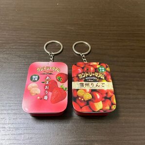 カントリーマアム ミニ缶 ガチャガチャ キーホルダー ご当地デザイン