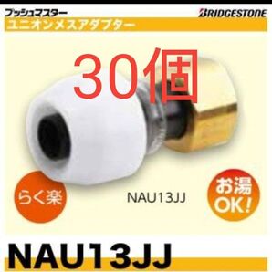 プッシュマスターNAU13JJ