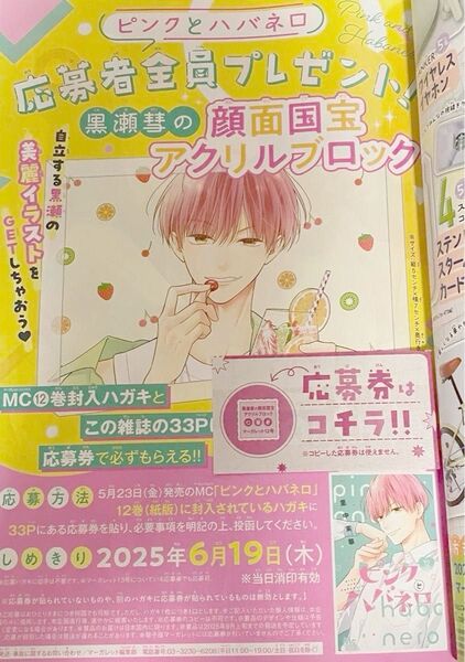 ピンクとハバネロ 黒瀬慧 アクリルブロック 応募券1枚 マーガレット12号