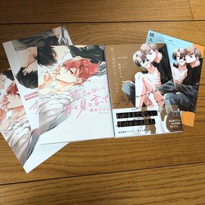 恋じゃないと目を見て言って 隣人は壊滅的に甘くて自己中