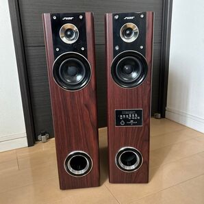 FUZE TSX230BT II Bluetooth対応 アンプ内蔵 スピーカー