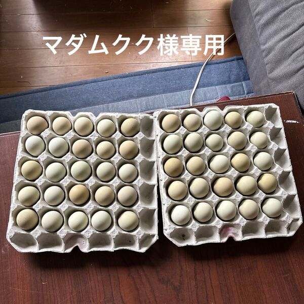 平飼いアローカナのたまご50個SからMサイズ
