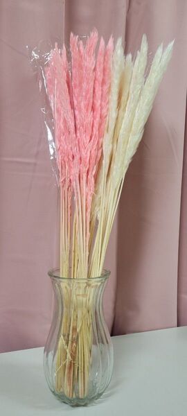 パンパスグラス ピンク ホワイト お好きなカラー組み合わせ計20本 ドライ 長さ70cm