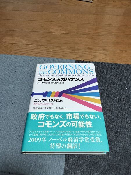 コモンズのガバナンス 人びとの協働と制度の進化 エリノア・オストロム/著 原田禎夫/訳 齋藤暖生/訳 嶋田大作/訳