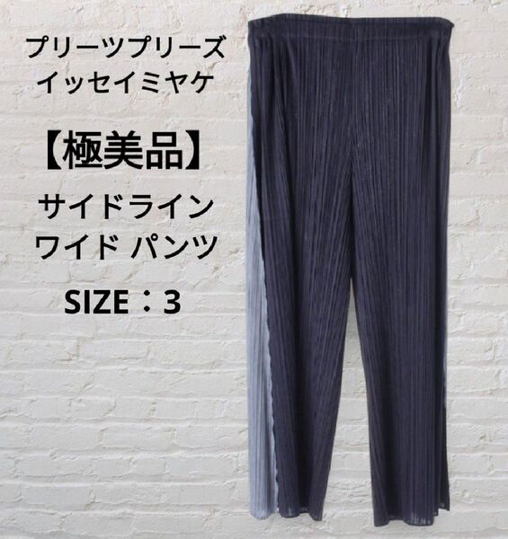 【極美品】プリーツプリーズ イッセイミヤケ サイドライン ワイド パンツ 3