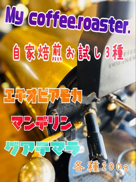自家焙煎コーヒー豆 3種お試し飲み比べセット 各種200g 計600g