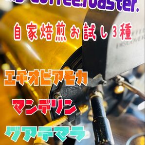 自家焙煎コーヒー豆 3種お試し飲み比べセット 各種200g 計600g