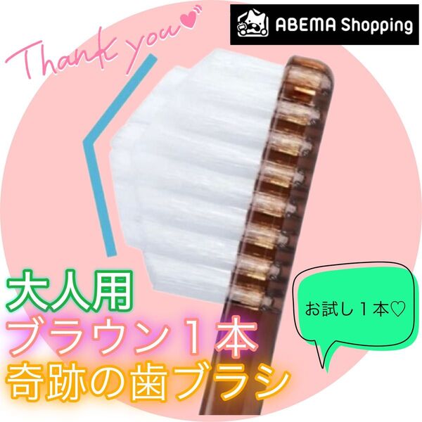【新品】奇跡の歯ブラシ 大人用 ブラウン ABEMA限定モデル 公式正規品〔1本〕