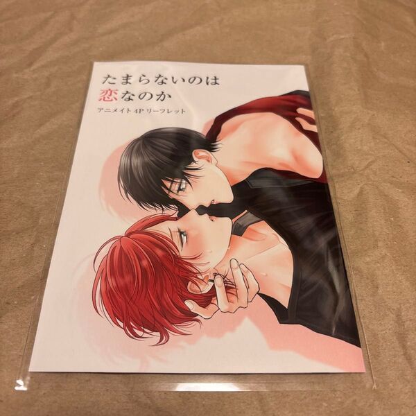 たまらないのは恋なのか 空華みあ アニメイト 4P リーフレット ハニーミルク フェア 特典 BL