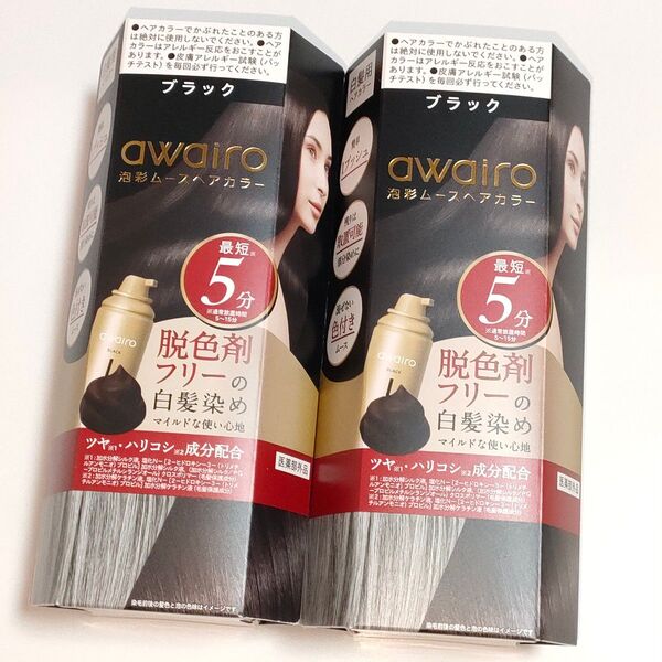 アワイロ ムースヘアカラー 白髪染め ブラック 白髪用ヘアカラー awairo 2箱