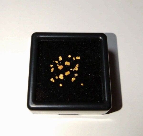 砂金 自然金 北朝鮮産