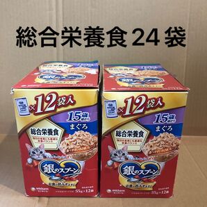 銀のスプーン 総合栄養食 55g×24袋 15歳頃から まぐろ キャットフード ウェットフード
