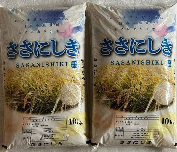 庄内産 ササニシキ 10kg×2袋 20kg 精米 ご飯 白米