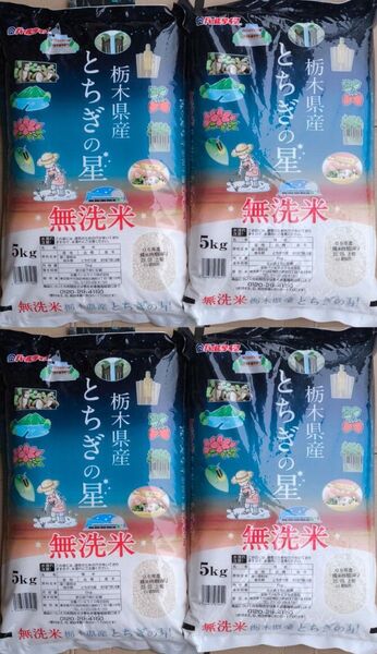 栃木県産 とちぎの星 無洗米 5kg×4袋 20kg 白米 ご飯