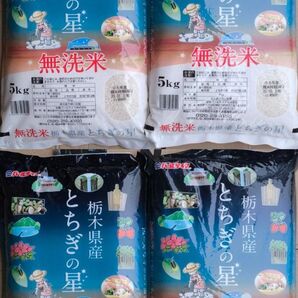 栃木県産 とちぎの星 無洗米 5kg×4袋 20kg 白米 ご飯