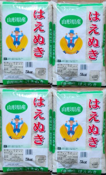 パールライス 山形県産 はえぬき 5kg×4袋 20kg 白米 ご飯 精米