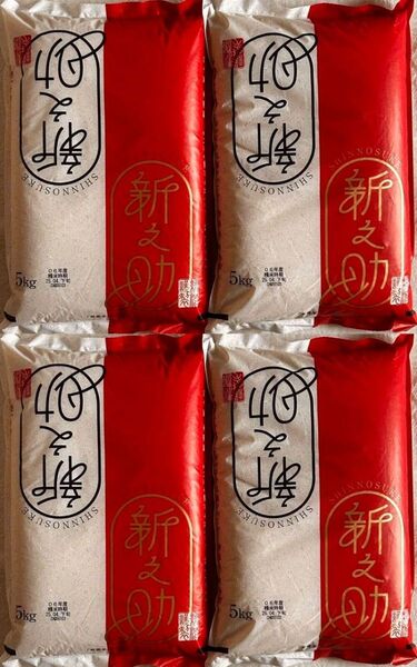 パールライス 新潟県産 白米 新之助 5kg×4袋 20kg 白米 ご飯