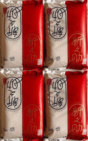 パールライス 新潟県産 白米 新之助 5kg×4袋 20kg 白米 ご飯