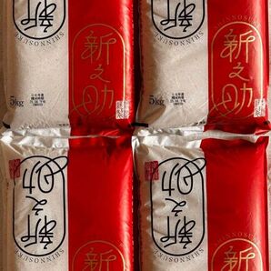 パールライス 新潟県産 白米 新之助 5kg×4袋 20kg 白米 ご飯