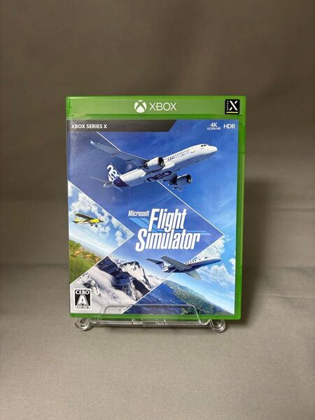 Xbox Series X Microsoft Flight Simulator