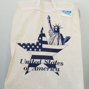 昭和レトロ お土産袋 バッグ JOURNEY BAG(ジャーニーバッグ)【United States of America】旅行