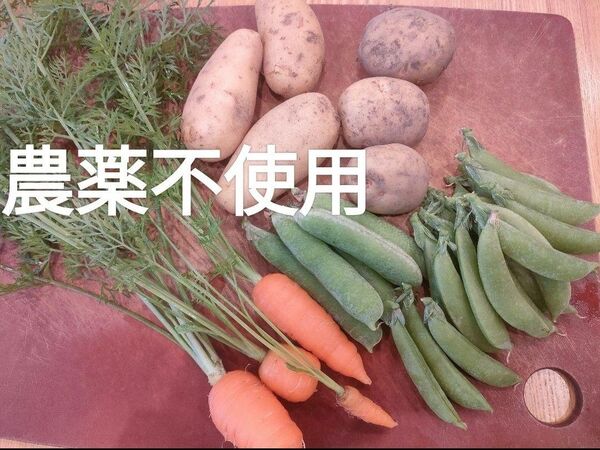 旬のお野菜セット お野菜詰め合わせBOX 新鮮季節のお野菜 新じゃが食べ比べ