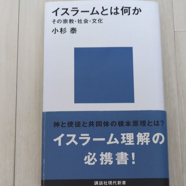 イスラームとは何か その宗教・社会・文化 (講談社現代新書 1210) 小杉泰/著