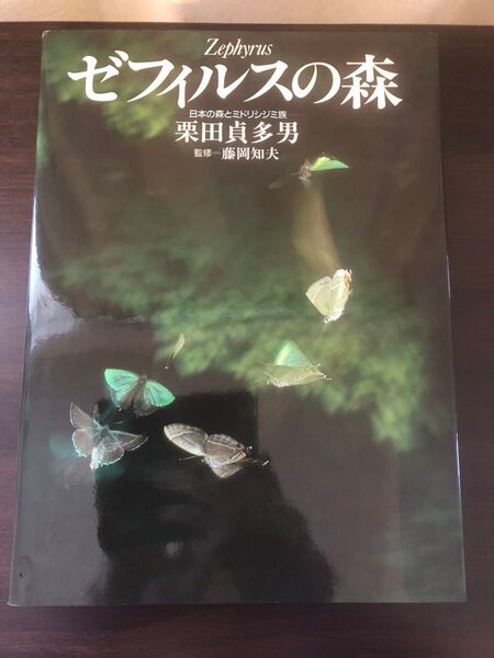 蝶写真集「ゼフィルスの森」