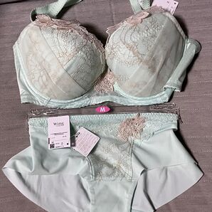 E80/Mワコール レシアージュ ブラ&ショーツ