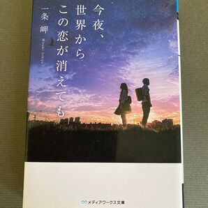 今夜、世界からこの恋が消えても