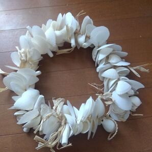シェルリース シェルレイ 貝殻