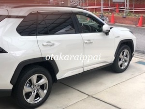 RAV4 メッキ サイドガーニッシュ ドアプロテクター カバー モール フェンダー アンダー パネル ベゼル ガード 鏡面 50系 エアロ パーツ